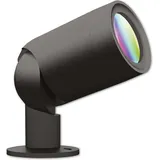 Müller-Licht LED Müller Licht tint Flores XL 404076