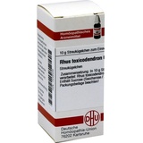 DHU-ARZNEIMITTEL RHUS TOXICODENDRON C 5