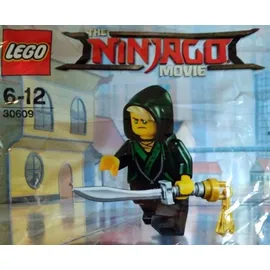 LEGO Ninjago Lloyd 30609