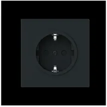 Busch-Jaeger Schuko-Steckdose 1 Schwarz 1 St.