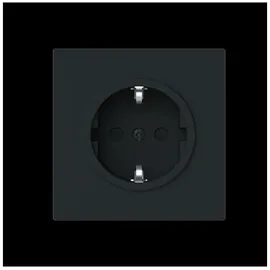 Busch-Jaeger Schuko-Steckdose 1 Schwarz 1 St.