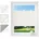 Plissee ohne Bohren Klemmfix Faltrollo 75 130 Creme