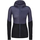 Icebreaker Damen 200 Realfleece Descender Hoodie Jacke (Größe XS, grau)