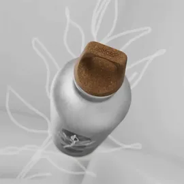 Sigg Traveller Myplanet 600ml Bottle