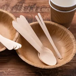 Ekoe Plastic Free Solutions Ekoe Biologisch abbaubarer Einweg-Holzlöffel 16,5 cm 100 Stk
