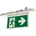 RIDI Homelight Rettungszeichen-Modul VLMF-HW-B Z-UR