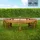 deluke Baumbank 250 x 250 x 45 cm Braun