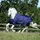 Bucas Therapy Turnout Outdoordecke 150 g 115 cm Blau/Orange