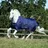 Bucas Therapy Turnout Outdoordecke 150 g 115 cm Blau/Orange