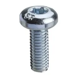 Schneider Electric NSYST30M6 Spacial SF/SM-Torxschrauben, M6, 16mm, Verpackungseinheit: 100 Stück - 100 Stück