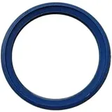 Bosch Ersatzteil TTNR: 7096475 7096475 Lippendichtung DN80 (blau)