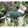 Kentucky Hundemantel Wasserdicht Olive  - XXS