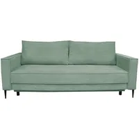 Carryhome Schlafsofa, Olivgrün, Textil, 2-Sitzer, Füllung: Schaumstoff, 222x93x98 cm, Liegefunktion, Rücken echt, haustierfreundlicher Bezug, Wohnzimmer, Sofas & Couches, Schlafsofas, Schlafsofas mit Bettkasten