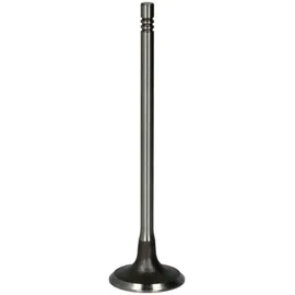 FRECCIA R6663/S