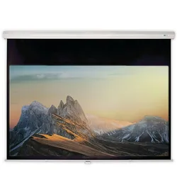 DELUXX Advanced Rolloleinwand Slowmotion 16:9 Mattweiss Polaro 170 x 95 cm