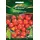Quedlinburger Mexikanische Honig-Tomate Miel du Mexique,1 Portion