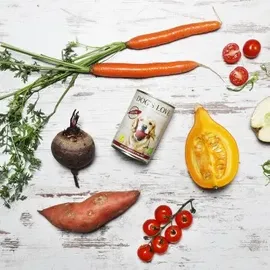 Dog's Love Bio Vegan 6 x 400 g