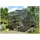 Vitavia Apollo 5000 anthrazit HKP 6 mm 5,0 m²