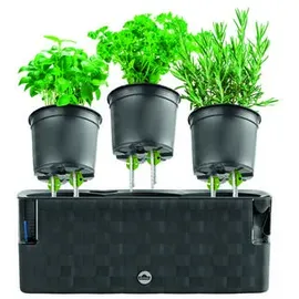 Dehner Mona 40 x 14 cm Dunkelgrau