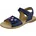 Blau 31