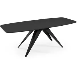 Feldmann-Wohnen Ferro 160 x 80 x 76 cm schwarz