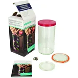 Weck Stangenglas Starter-Set (Glas zum Fermentieren, inkl. 2 Glasdeckel ř 80 mm / 100 mm, Gummiring, 2 Klammern, 1 Silikondeckel, Einmachglas mit Rezept-Heft) 44819, Klar,rot