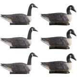Vevor Kanadagans-Lockvogel (6 Stk.) künstlicher Gänse für die Wasservogeljagd im Freien, Schwimmkörper aus Kunststoff mit ultrarealistischer Lackierung, für Pool Teich Gartendekoration