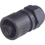 Hirschmann 934 125-100-1 Rundstecker Kupplung, gerade Serie (Rundsteckverbinder): CA Gesamtpolzahl: 3 + PE 1 St.