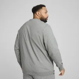 Puma Essentials Small No. 1 Logo Crewneck Herren PUMA grau 4XL