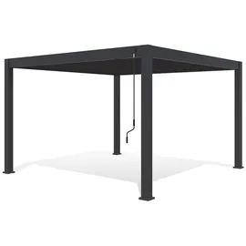 Weide Deluxe Pergola Voll Aliminium 4 x 4 m anthrazit