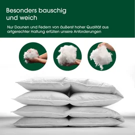 HANSKRUCHEN GmbH HANSKRUCHEN® Daunendecke 240x220 cm extra Leicht 90% Daunen waschbar Allergiker Kassettendecke atmungsaktiv Bettdecke weiß - Premium de Luxe / Weiß