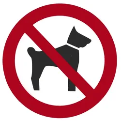 Contacto Schild HUNDEVERBOT 10 cm