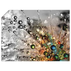 Wandbild ARTLAND "Farbenfrohe Natur", bunt (farbe bild(er): bunt), B:60cm H:45cm, Bilder, als Alubild, Outdoorbild, Leinwandbild, Poster, Wandaufkleber