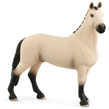 Sarcia.eu Spielfigur Schleich Horse Club - Red Dun Wallach, Hannoveraner Rasse, Kinder 5+