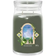 Yankee Candle Olive & Cypress Duftkerze 567 g grün