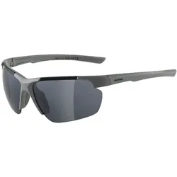 Alpina Defey HR Fahrradbrille - moongrey - mirror black