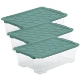 Rotho Evo Safe Aufbewahrungsbox 30 l 3-tlg. türkis/transparent