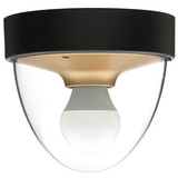 Licht-Erlebnisse - Badezimmerleuchte IP44 E27 Schwarz Gold Ø18cm rund Modern Badlampe