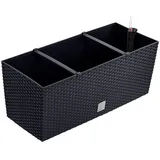 Prosperplast Rato Case 60cm anthrazit (DRTC600-S433)