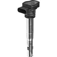 BorgWarner (Beru) (BERU) Zündspule