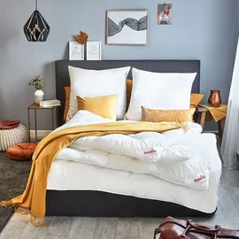 Paradies DALA Bio medium