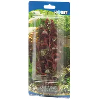 Hobby Aquariendeko Rotala 16 cm