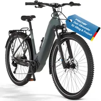 Fischer Terra 6.8i 28 Zoll RH 50 cm Unisex grün matt