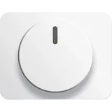 Busch-Jaeger Zentralscheibe stws gl für Drehdimmer 6540-24G