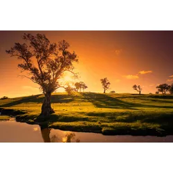 Fototapete PAPERMOON "Landschaft mit Fluss", bunt, B:4,00m L:2,60m, Vlies, Tapeten
