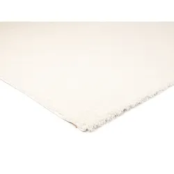 Teppich OCI DIE TEPPICHMARKE, beige (creme), Ø:200cm, Obermaterial: 100% Polypropylen, Teppiche
