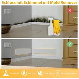 NORTHPOINT Schimmelentferner 2 St.