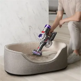 Dyson V8 Absolute silber/gelb 2023