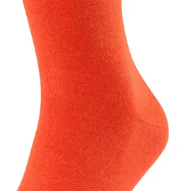 Falke Airport ziegel 39-40