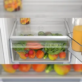 Bosch Serie 2 KIL22NSE0 Einbaukühlschrank (119 l, 874 mm hoch)